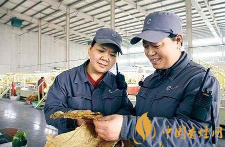江西中煙贛州卷煙廠制絲車間狠抓創(chuàng)新促管理水平提升!